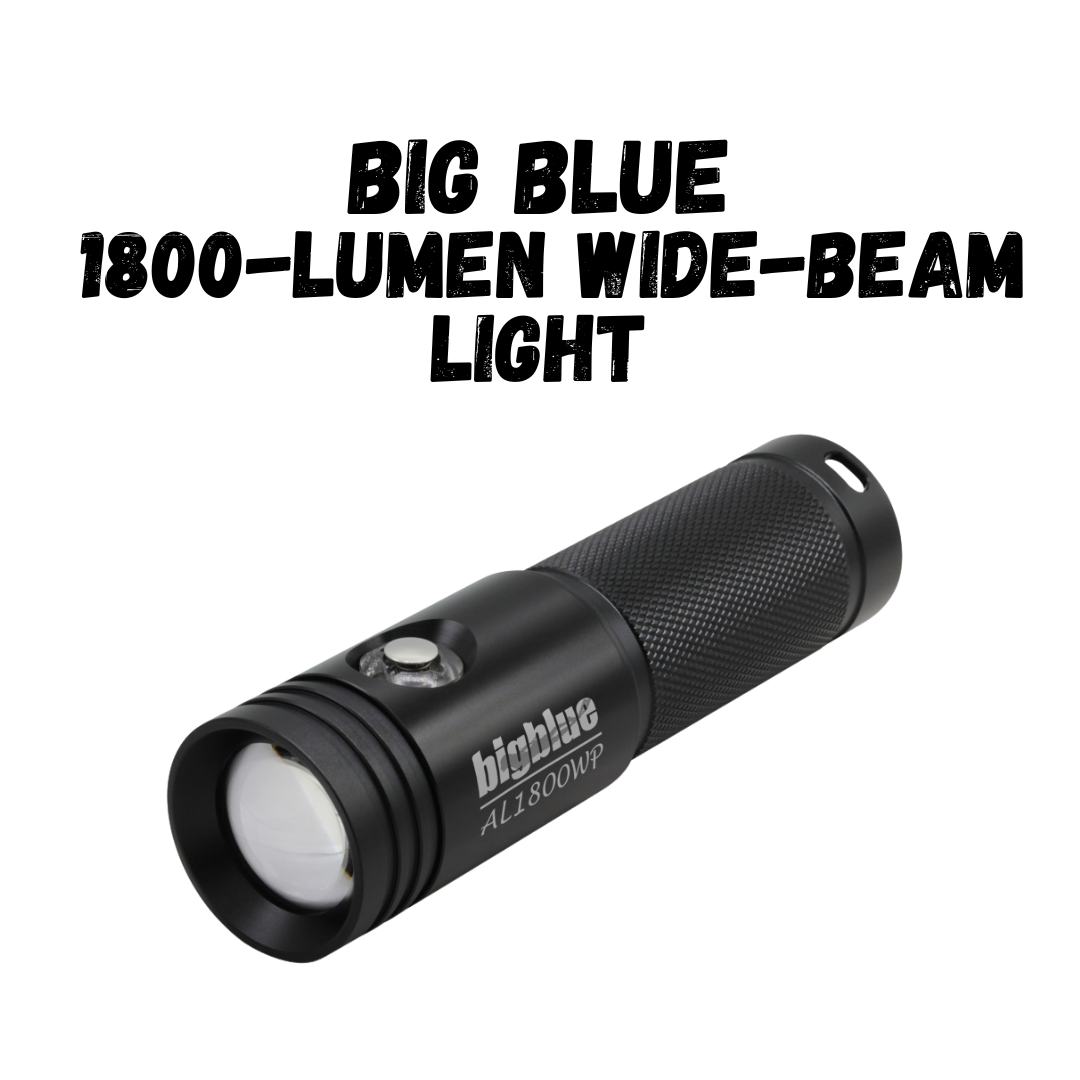 Big Blue 1800-Lumen Wide-Beam Light