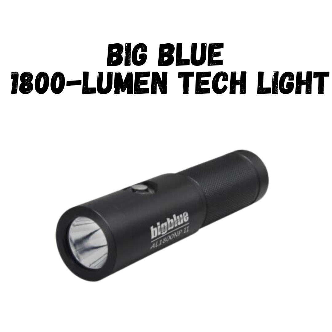 Big Blue 1800-Lumen Tech Light