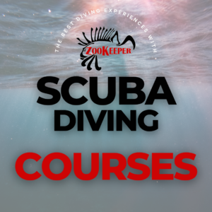 Dive Courses