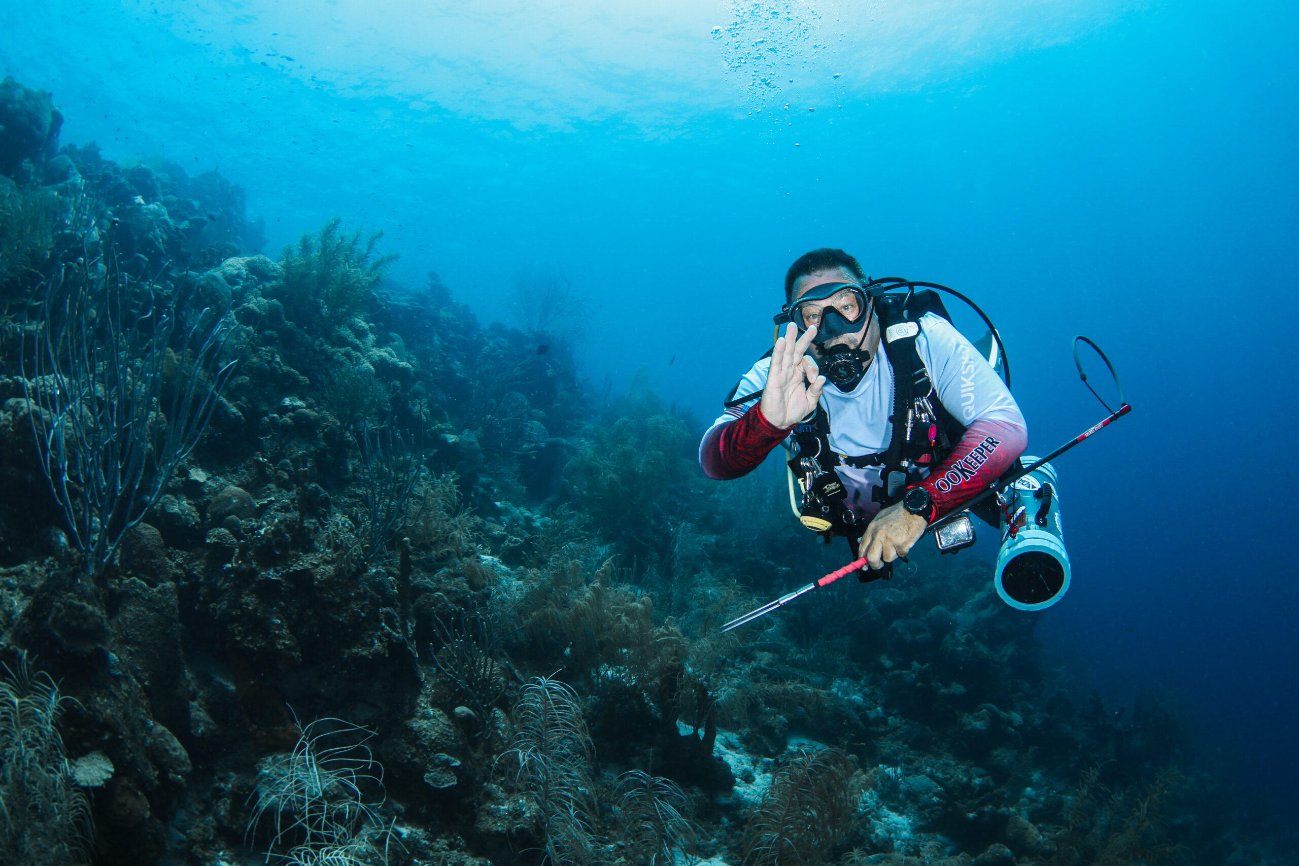 Scientists May Have Found A Solutions For Coral Reefs ZooKeeper scientists-may-have-found-a-solutions-for-coral-reefs-zookeeper