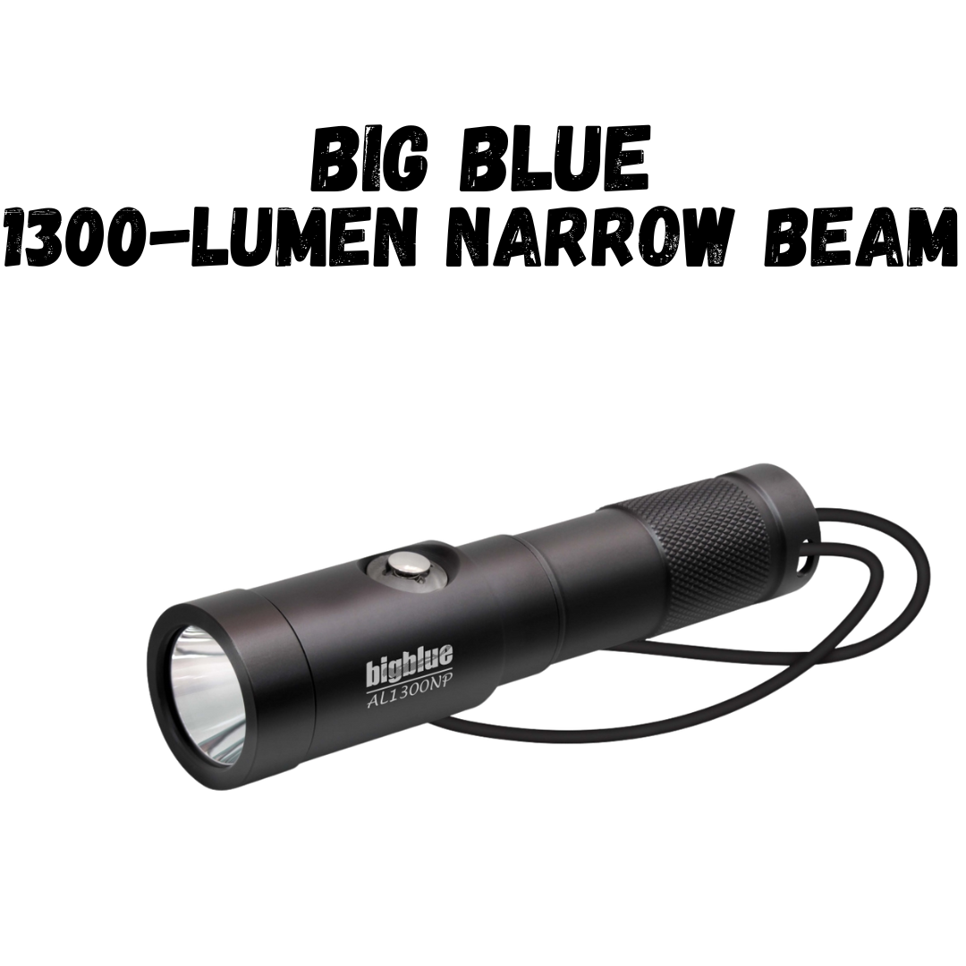 ZooKeeper-Big-Blue-1300-Lumen-